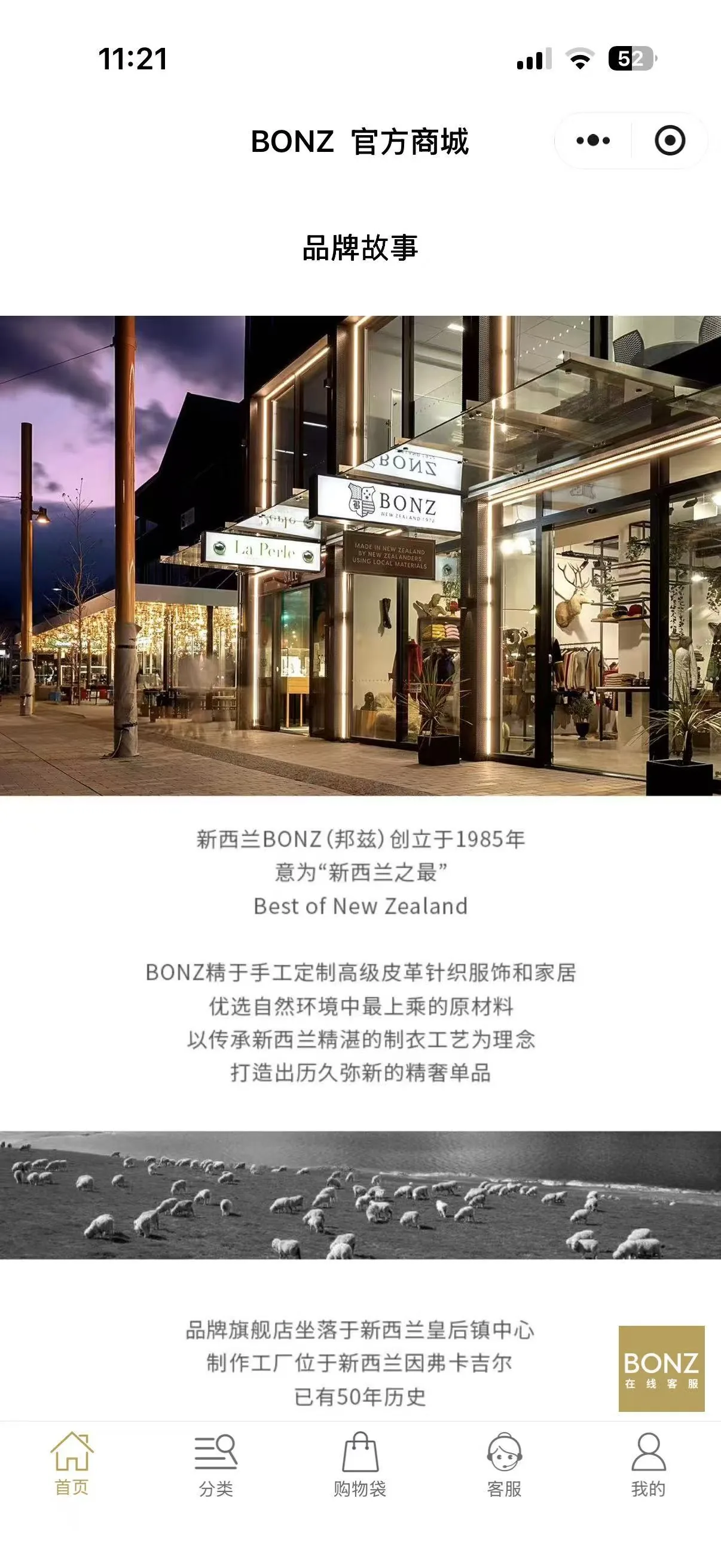 BONZ Mini Program — brand story